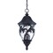 Homeroots 19.5 x 9 x 9 in. Capri 3-Light Black Coral Hanging Light 397982 - alternate 1